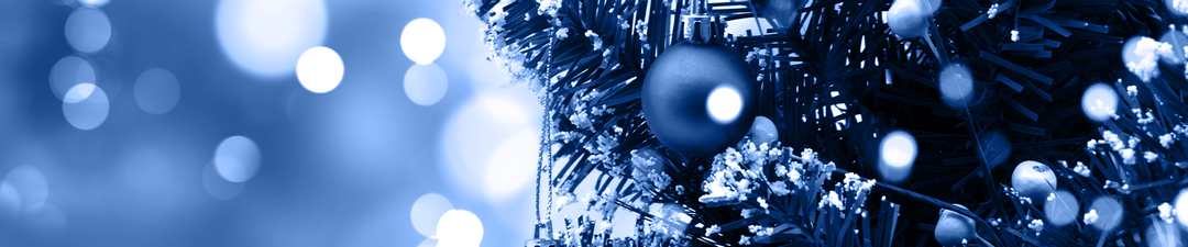 Wir sind auch über den Jahreswechsel 2024/2025 für Sie da!