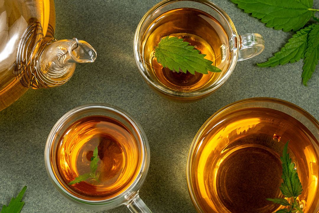 Cups of herbal tea, transparent teapot and nettle leaves on green background. Calming drink concept. Top view Flat lay.