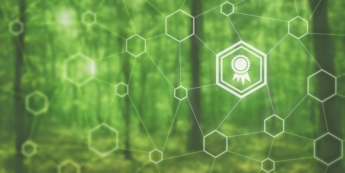 Unscharfer Wald und ein Zertifikat-Icon im Vordergrund