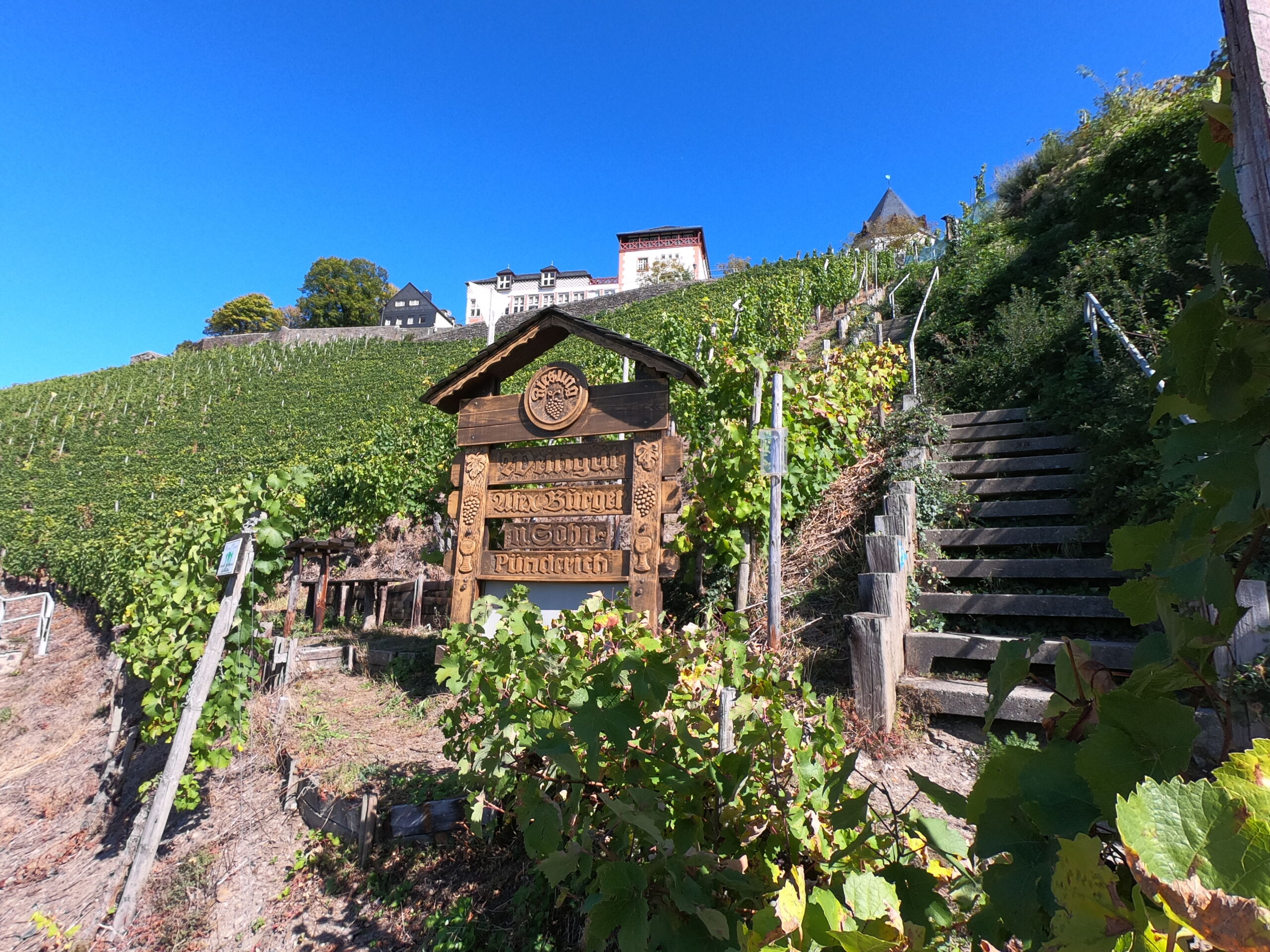 Mosel Camping Pnderich | Camping im Sdwesten