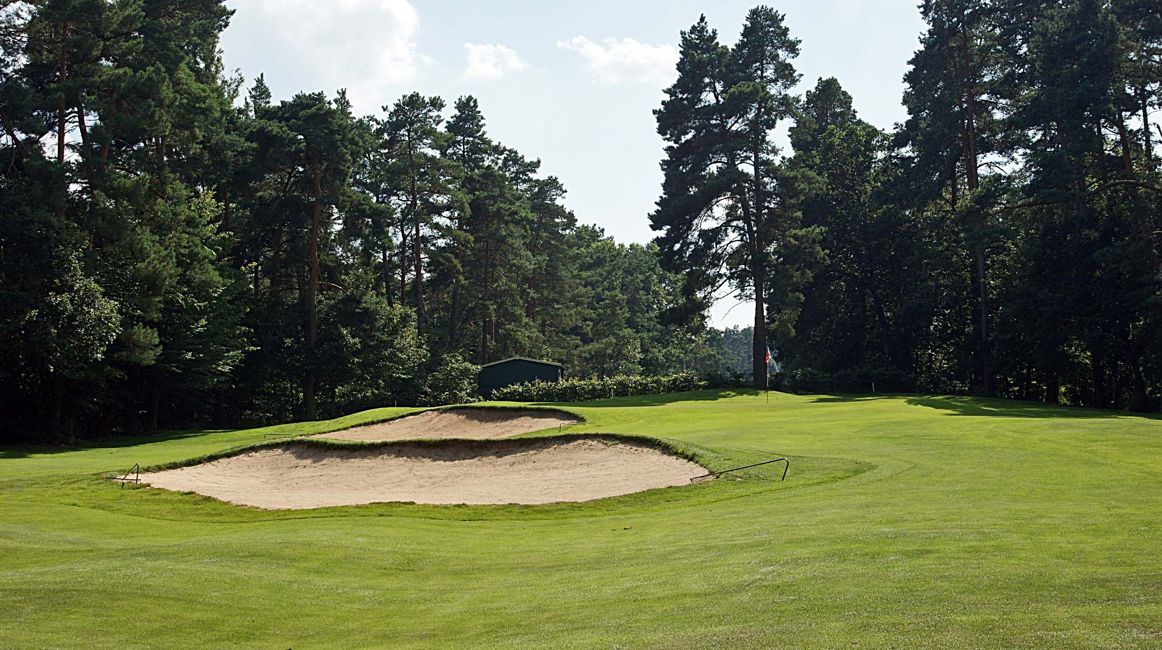 Blick auf einen Sandbunker von einem Golfplatz