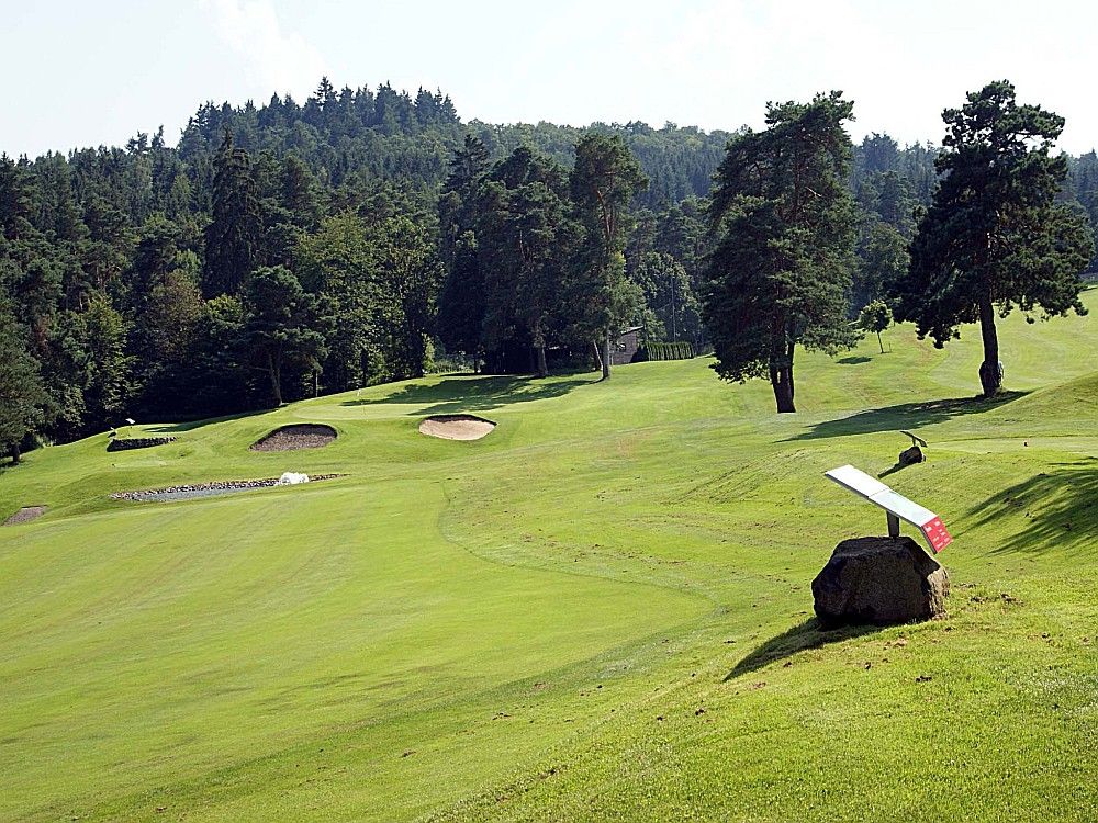Blick auf einen Golfplatz mit dichtem Wald im Hintergrund