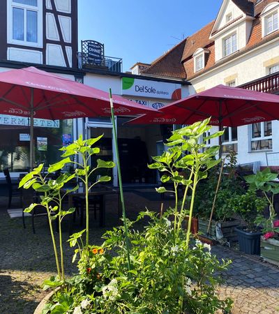Eingangsbereich des Pizza del Sole bei sonnigem Wetter. Vor dem Eingang sind zwei rote Sonnenschirme zu sehen unter denen Tische und Stühle stehen. Im Vordergrund und an der Seite stehen Pflanzen und Blumen in Kübeln.