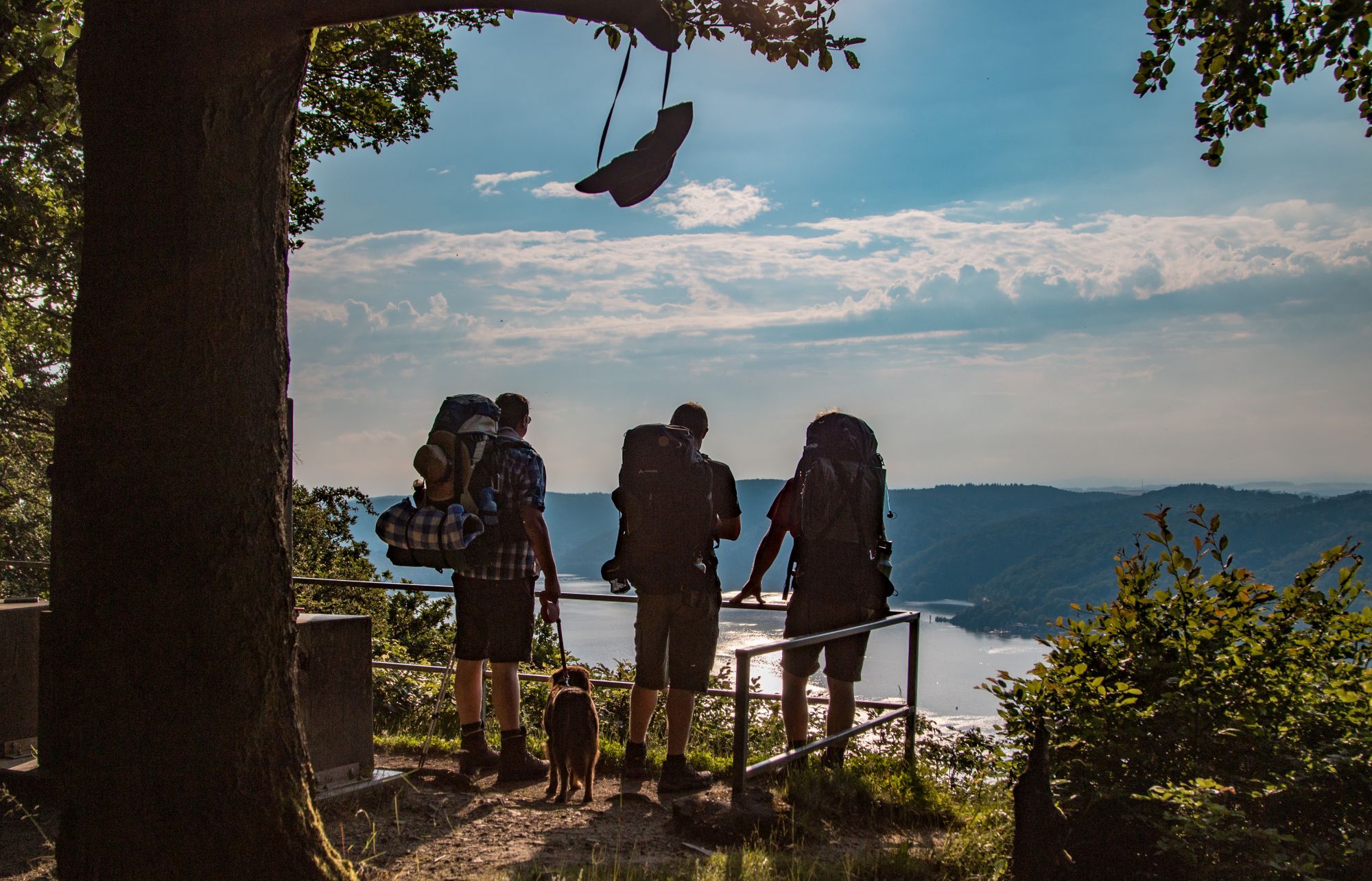 Blick von hinten auf 3 Wanderer mit Hund, die zusammen von einem Berg aus runter auf den Edersee schauen.