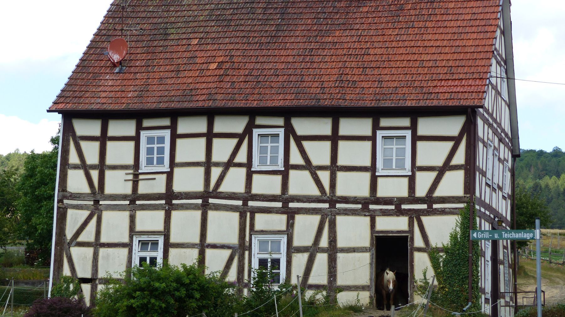 Armsfeld ein Pferd schaut aus der Tür eines Fachwerkhauses