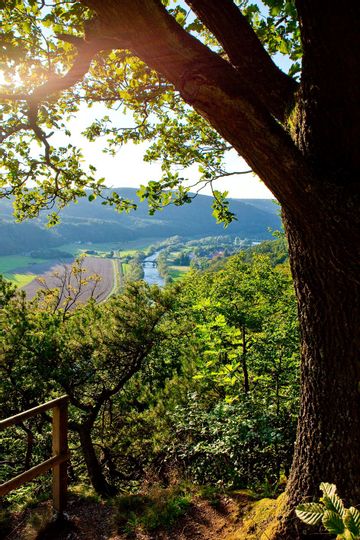 Blick von einem Berg aus runter ins Tal. Rechts im Bild steht ein Baum
