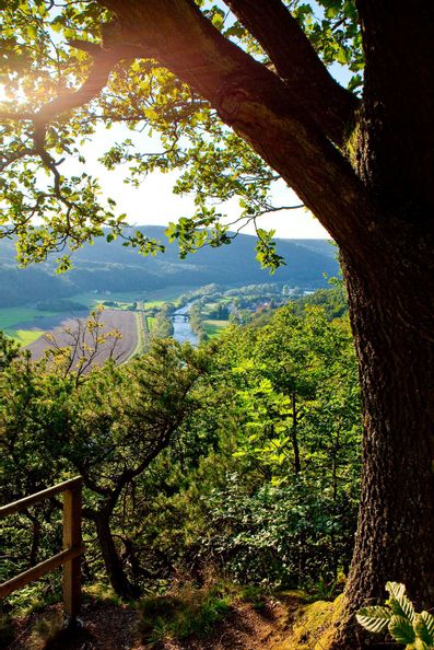 Blick von einem Berg aus runter ins Tal. Rechts im Bild steht ein Baum