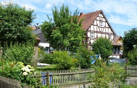 Blick auf ein Fachwerkhaus in Hüddingen mit einem Garten voller grüner Bäume und Sträucher.
