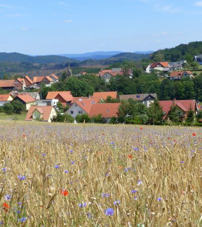 Blick über Hundsdorf
