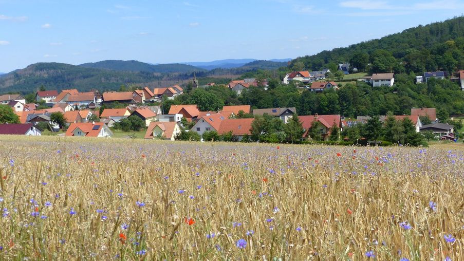 Blick über Hundsdorf