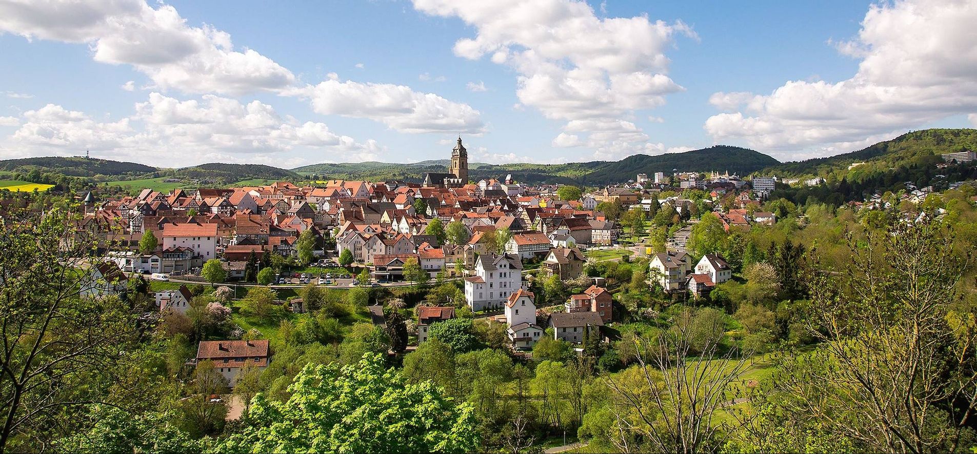 Blick auf Bad Wildungen.