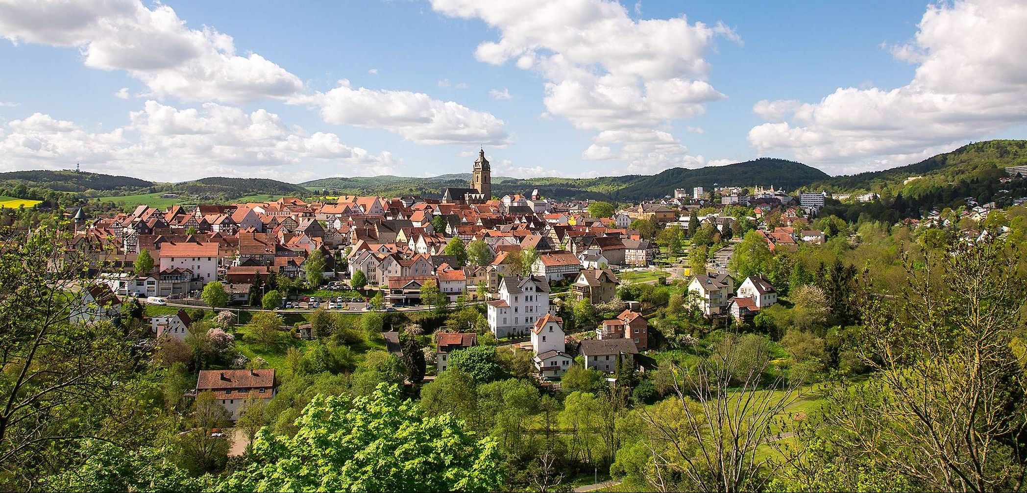 Blick auf Bad Wildungen.