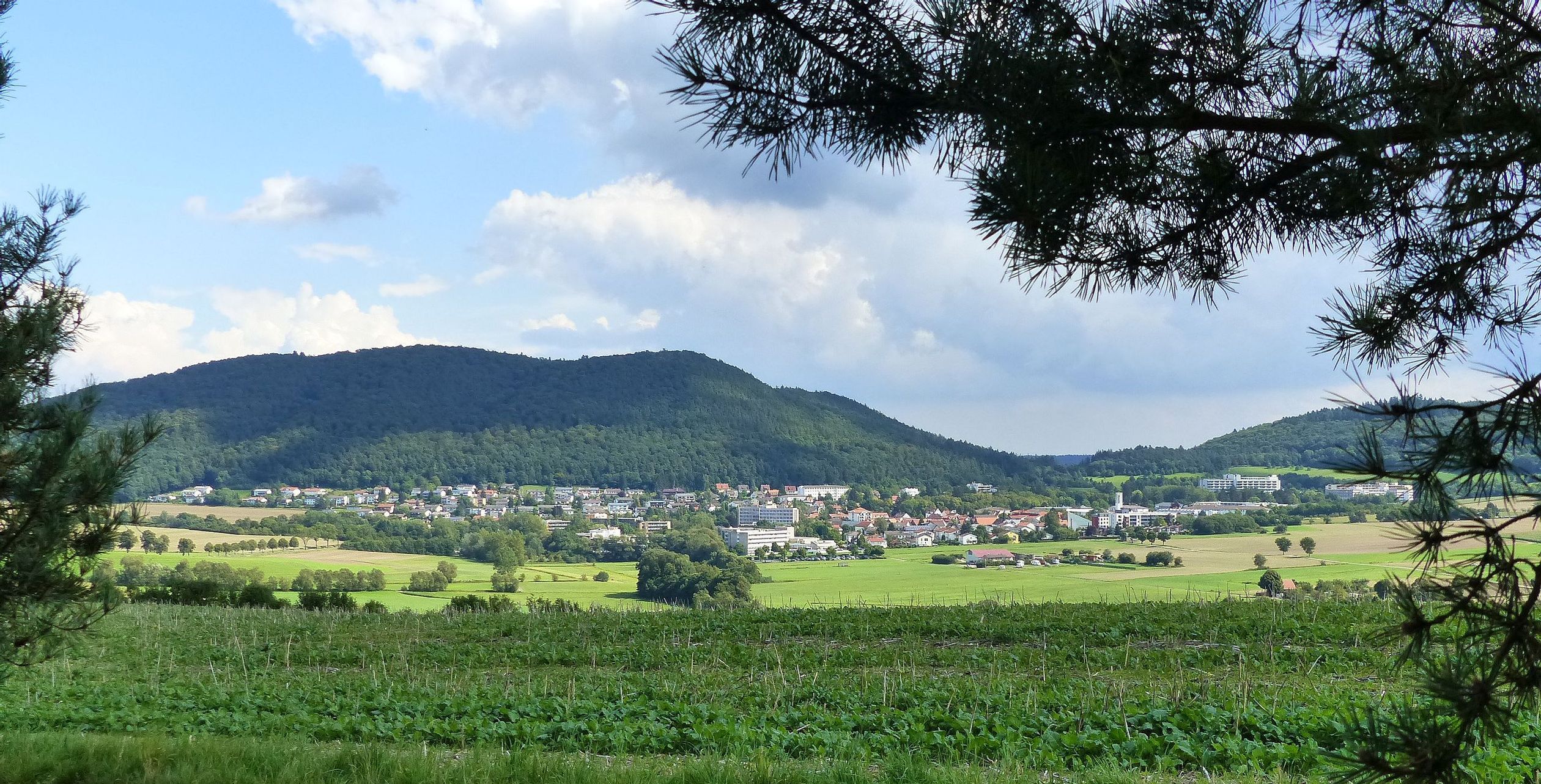 Blick auf Reinhardshausen