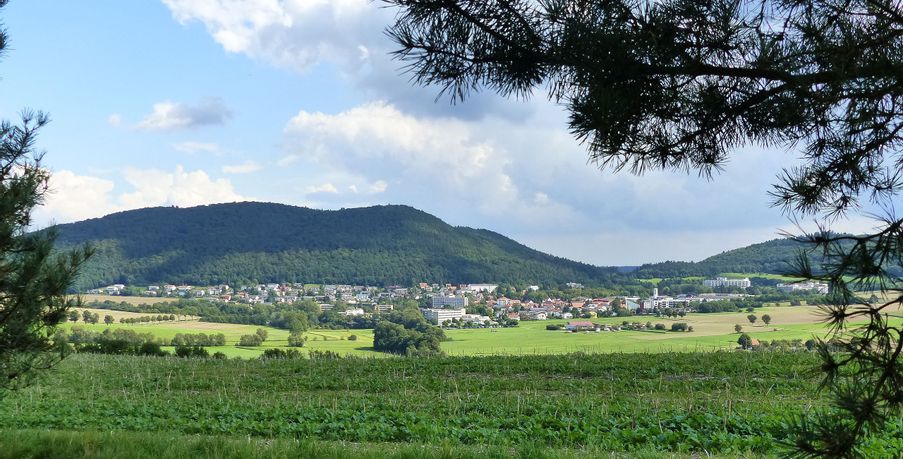 Blick auf Reinhardshausen