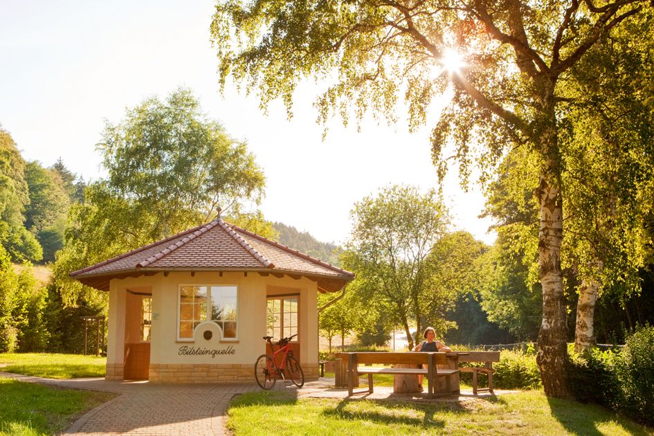 Blick auf die Bilsteinquelle in Reitzenhagen.