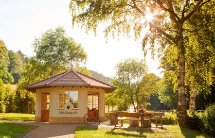 Blick auf die Bilsteinquelle in Reitzenhagen.