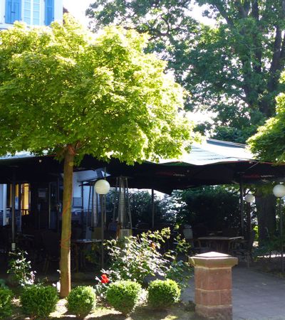 Restaurant Hemingway in der Brunnenallee mit Blick auf den Außenbereich bei Sonnenschein.