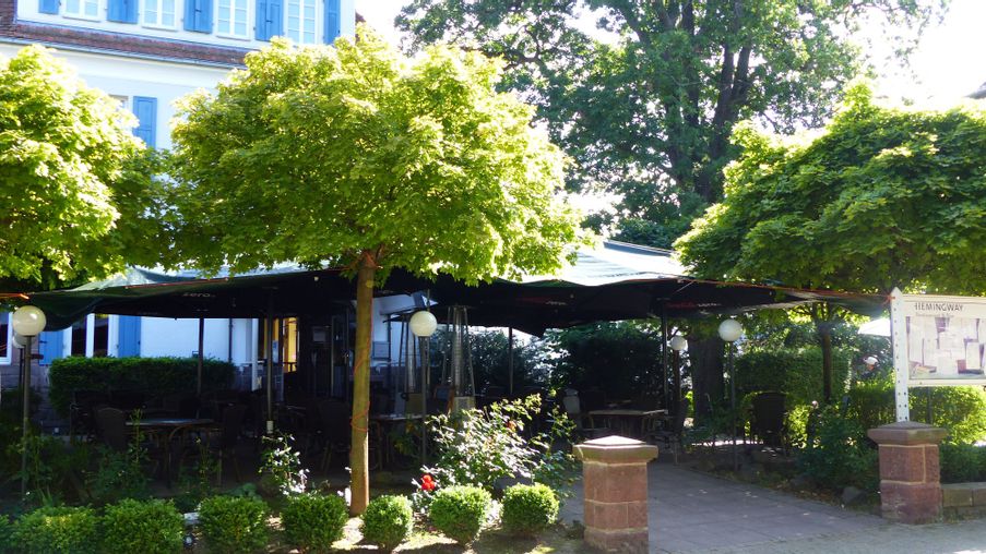Restaurant Hemingway in der Brunnenallee mit Blick auf den Außenbereich bei Sonnenschein.