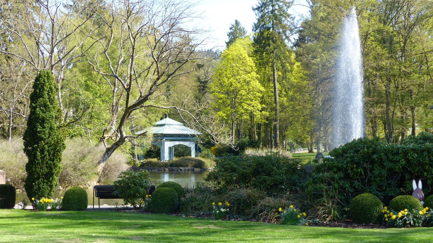 Kurpark Reinhardshausen