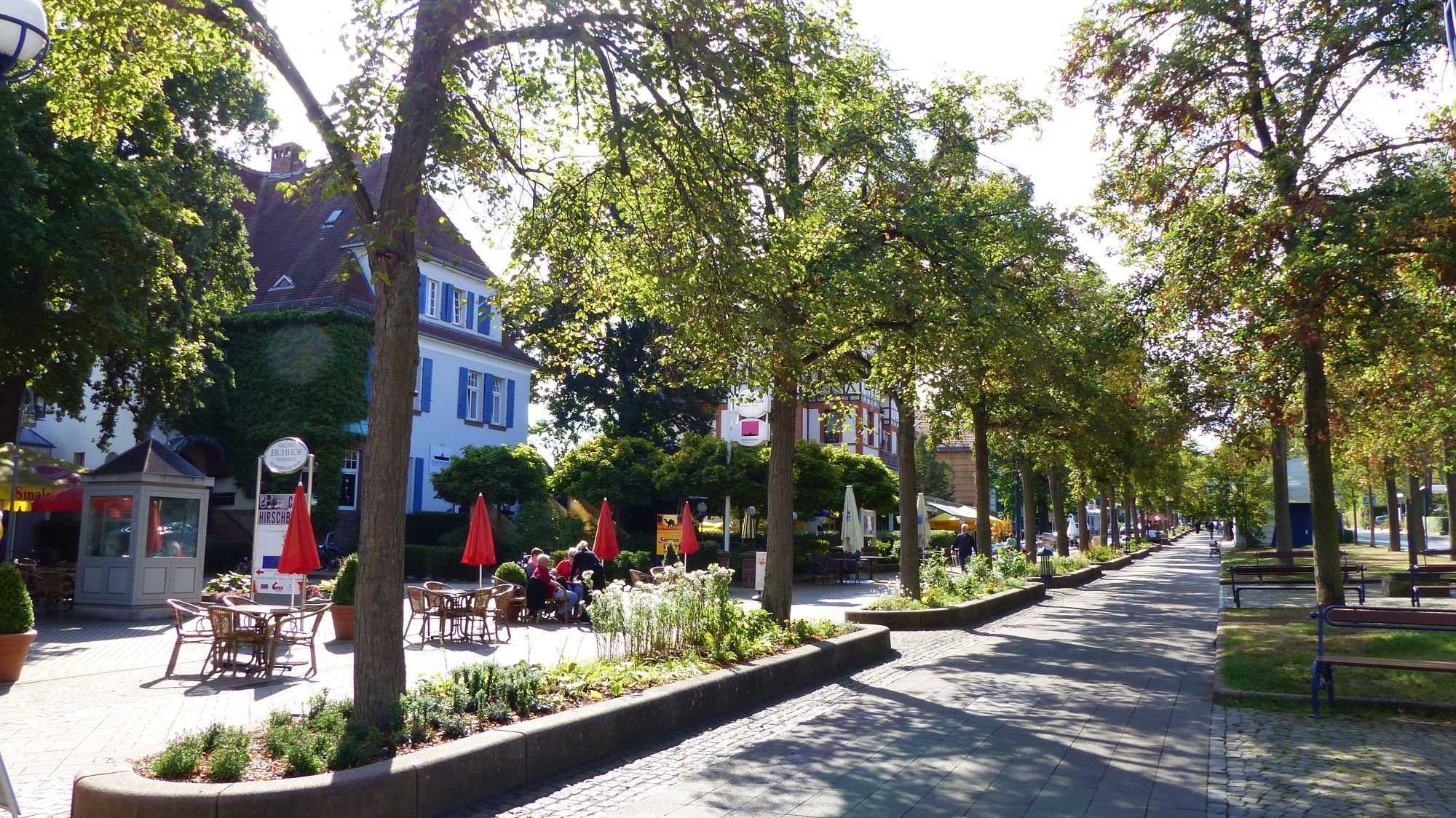 Blick entlang der Brunnenallee und den grünen Linden. Links im Bild sind Tische und Stühle eines Cafés zu sehen.