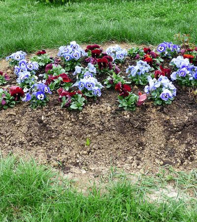 Ein Grab das mit Blumen bedeckt ist.