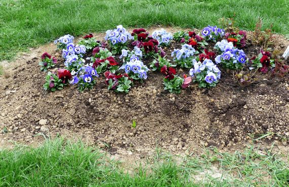 Ein Grab das mit Blumen bedeckt ist.