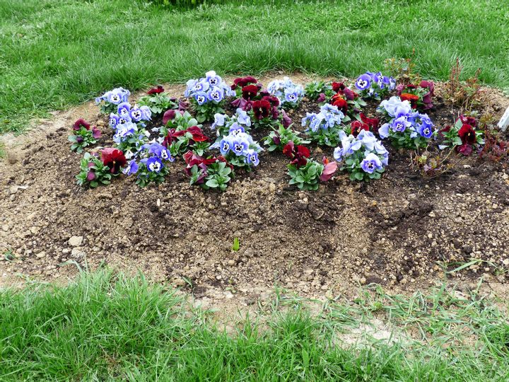 Ein Grab das mit Blumen bedeckt ist.