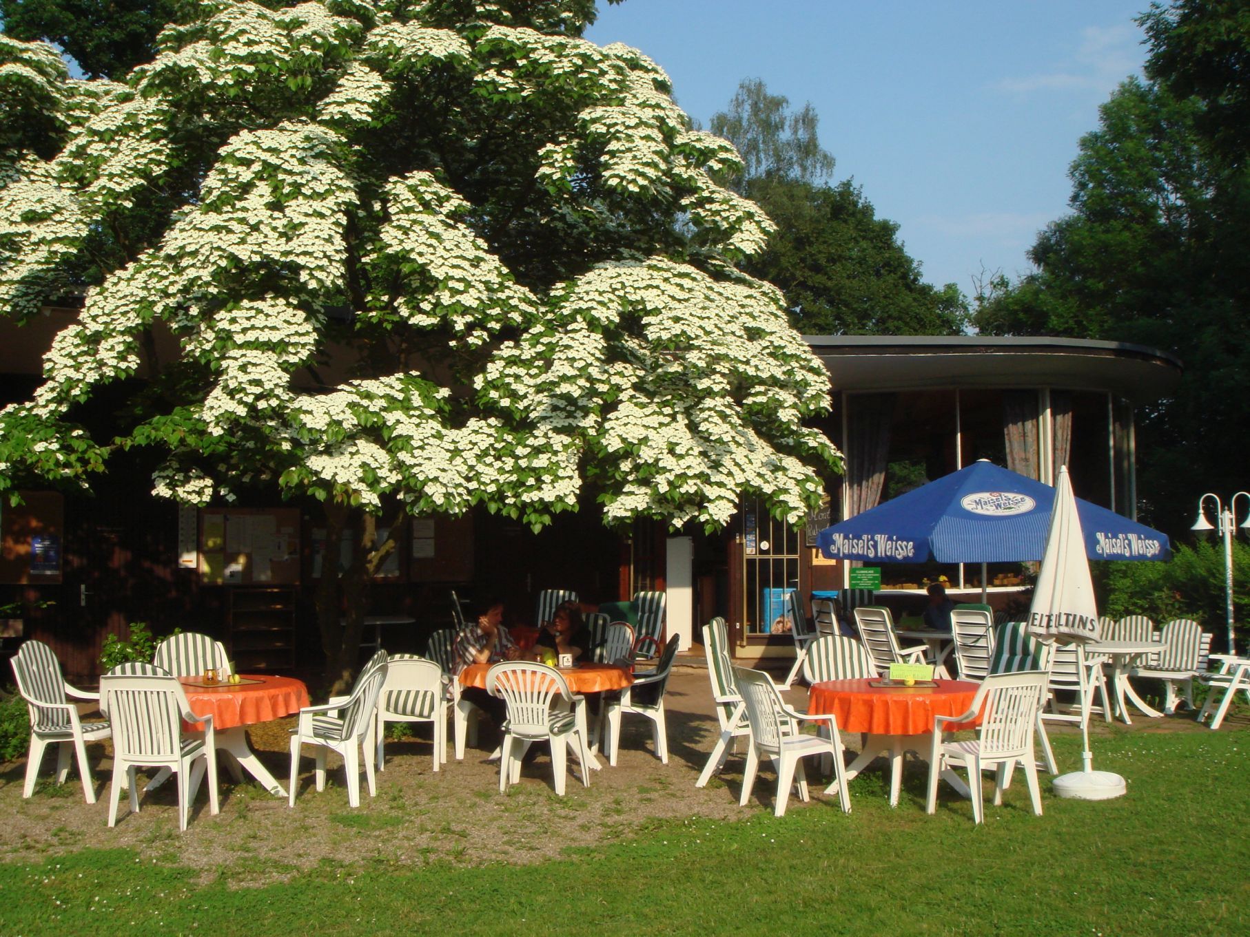 Das Clubhaus des Tennisclubs Bad Wildungen von Außen. Draußen sind Gartenstühle und Tische aufgebaut