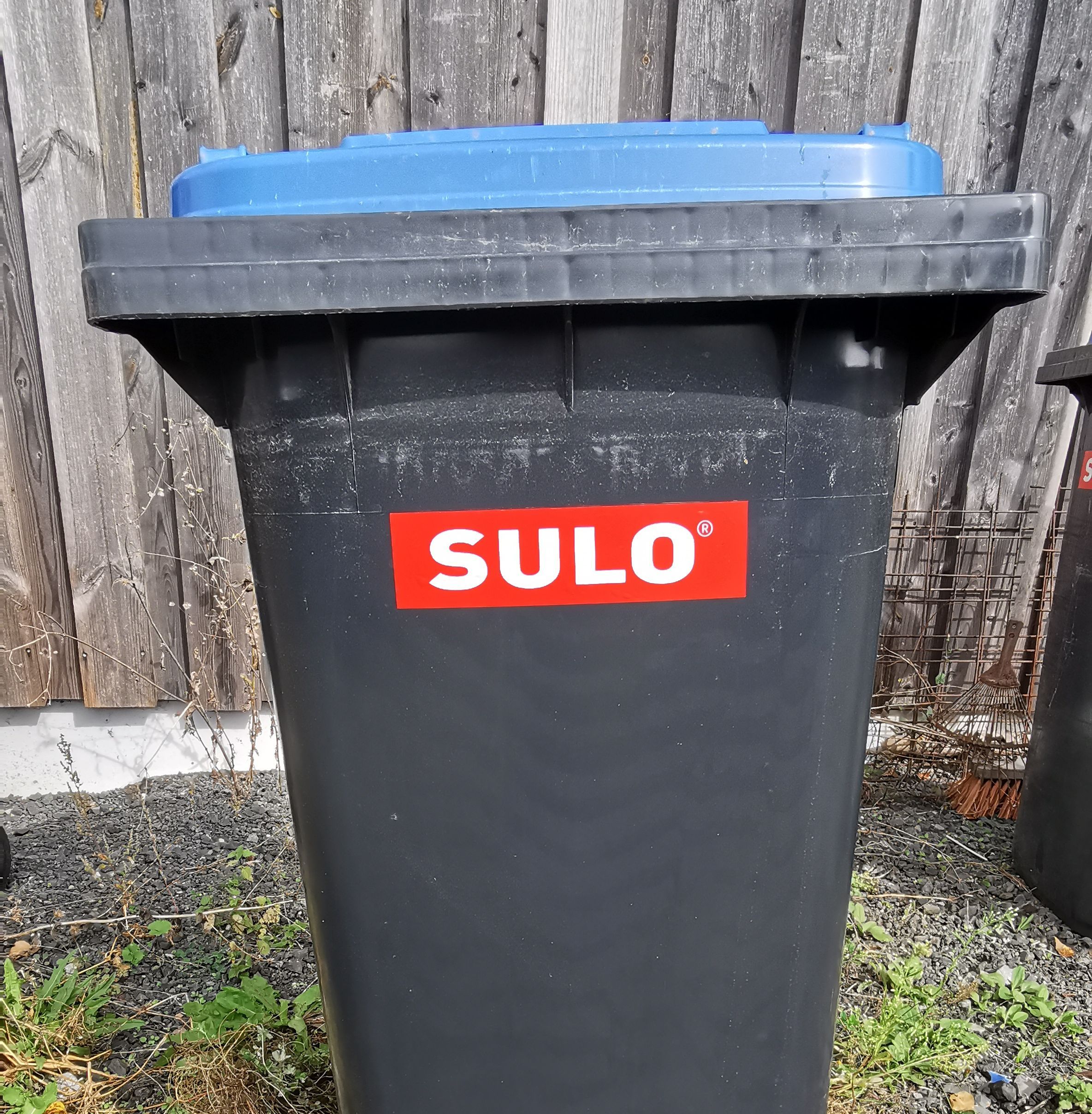 Blaue Tonne für Papiermüll in Bad Wildungen