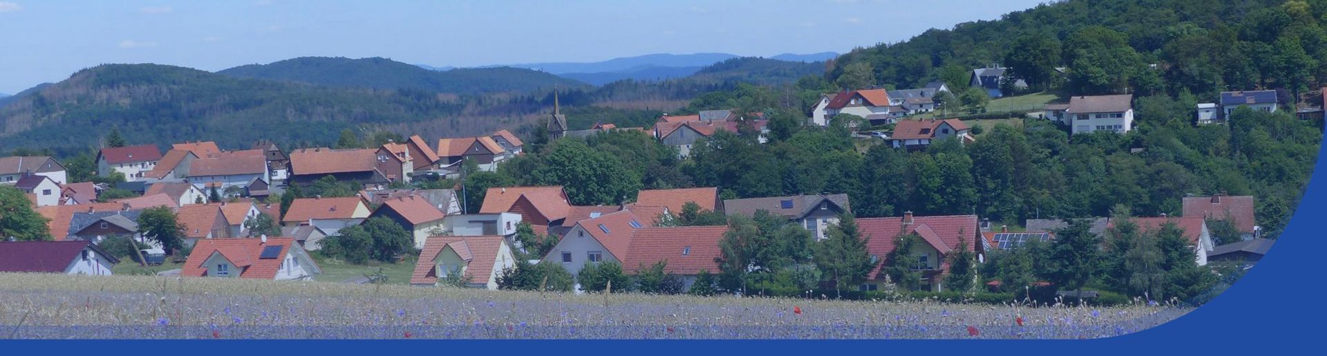 Blick von einen Blumenfeld aus auf Hundsdorf und die Natur die es umgibt