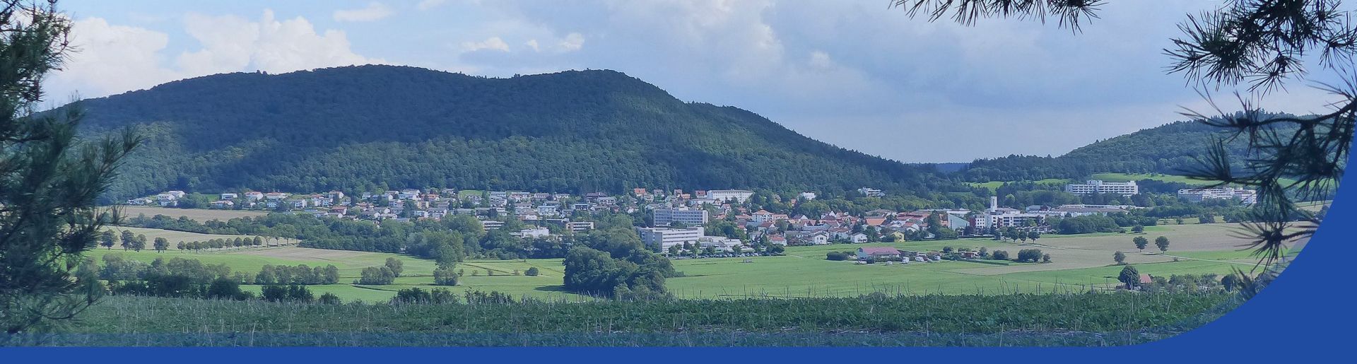 Blick auf Reinhardshausen von einer fernen Wiese aus
