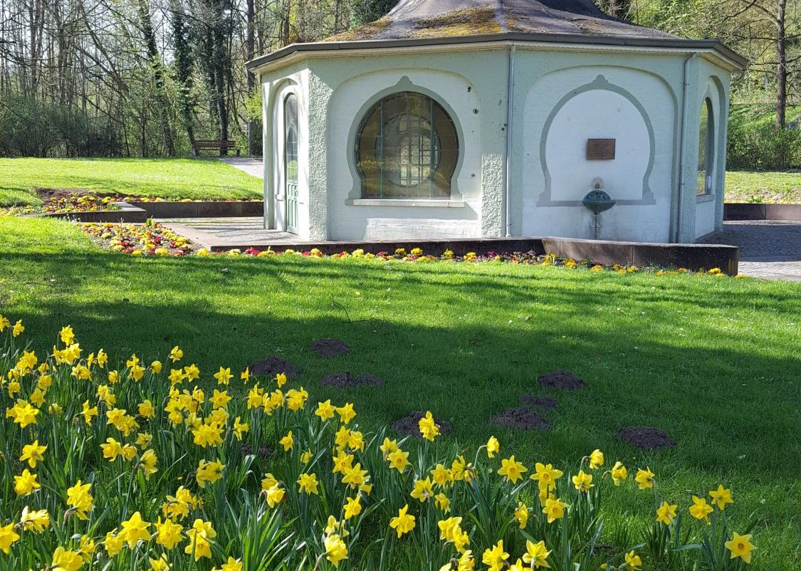 Häuschen der Königsquelle im Kurpark Bad Wildungen mit blühender Wiese 