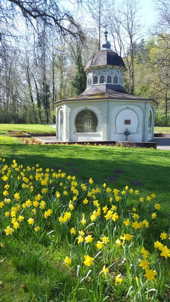 Häuschen der Königsquelle im Kurpark Bad Wildungen mit blühender Wiese