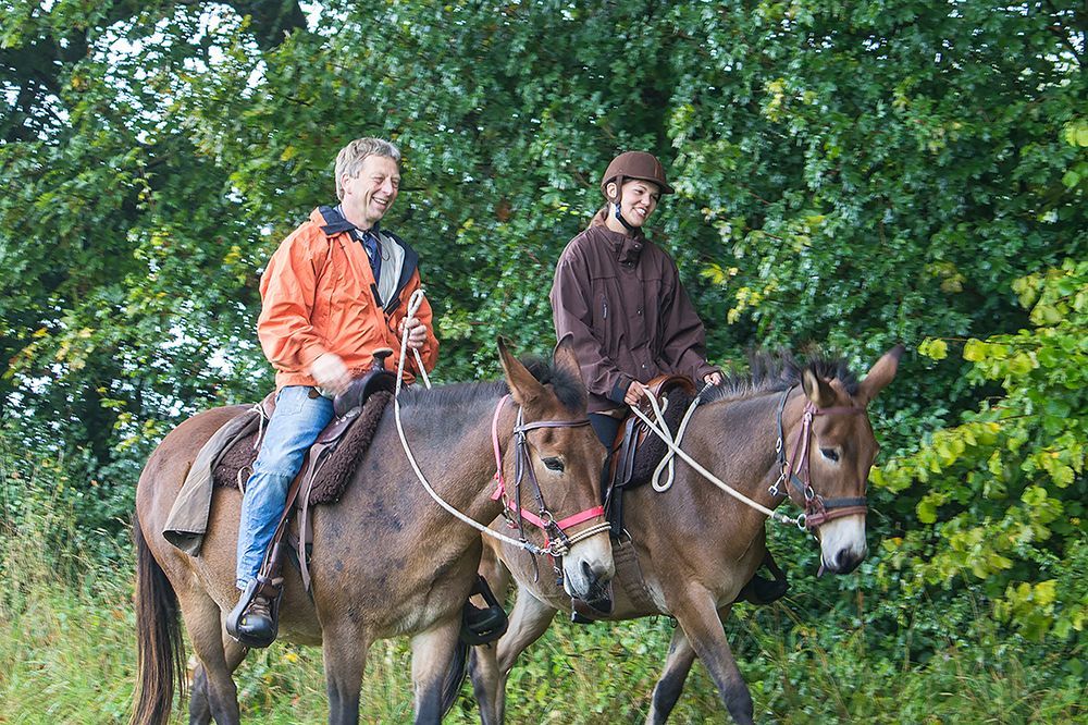 Zwei Reiter reiten auf braunen Pferden nebeneinander und lächeln. Im Hintergrund sind grüne Bäume zu sehen.
