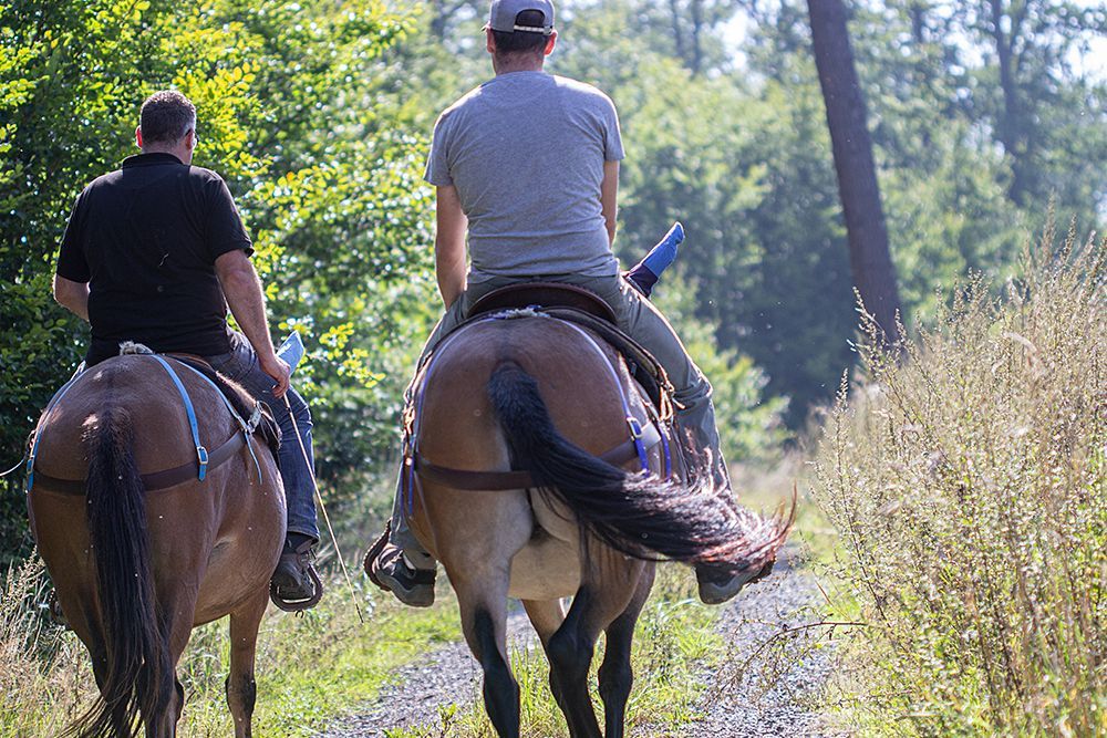 Zwei männliche Reiter reiten auf braunen Pferden durch den Wald. Die Sonne scheint, die Bäume sind grün und die Reiter tragen Jeans und T-Shirt.