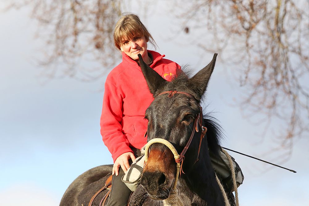 Nahaufnahme einer Reiterin auf einem dunkelbraunen Pferd.