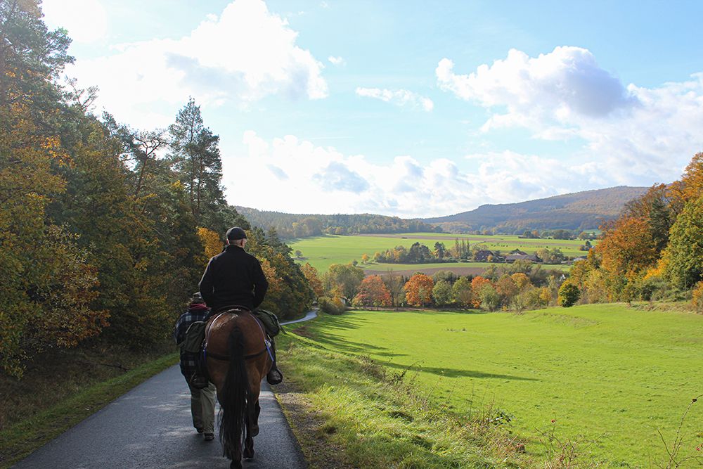 Ein Reiter reitet auf einem braunen Pferd bei sonnigem Wetter. Das Pferd wird von einer anderen Person geführt. Links sind grüne Bäume und rechts grüne Felder zu sehen.