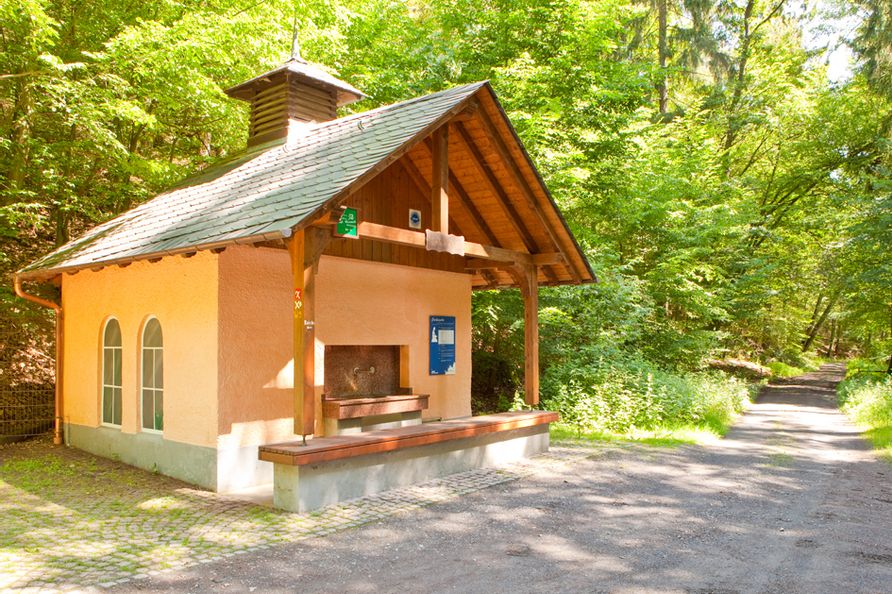 Blick auf das Gebäude der Bad Wildunger Stahlquelle im Wald. Die Bäume blühen und die Sonne scheint.