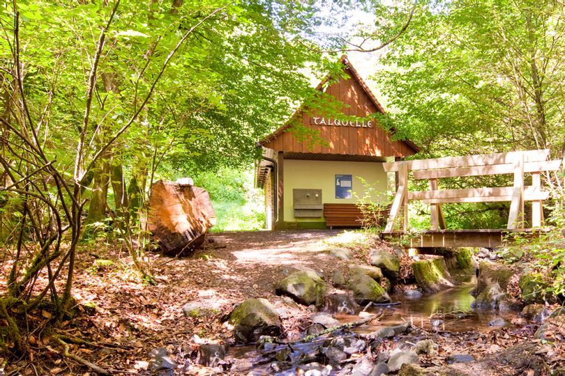 Blick auf das Gebäude der Bad Wildunger Talquelle im Wald. Die Bäume blühen und die Sonne scheint. Im Vordergrund ist ein kleiner Bach und eine Brücke zu sehen.