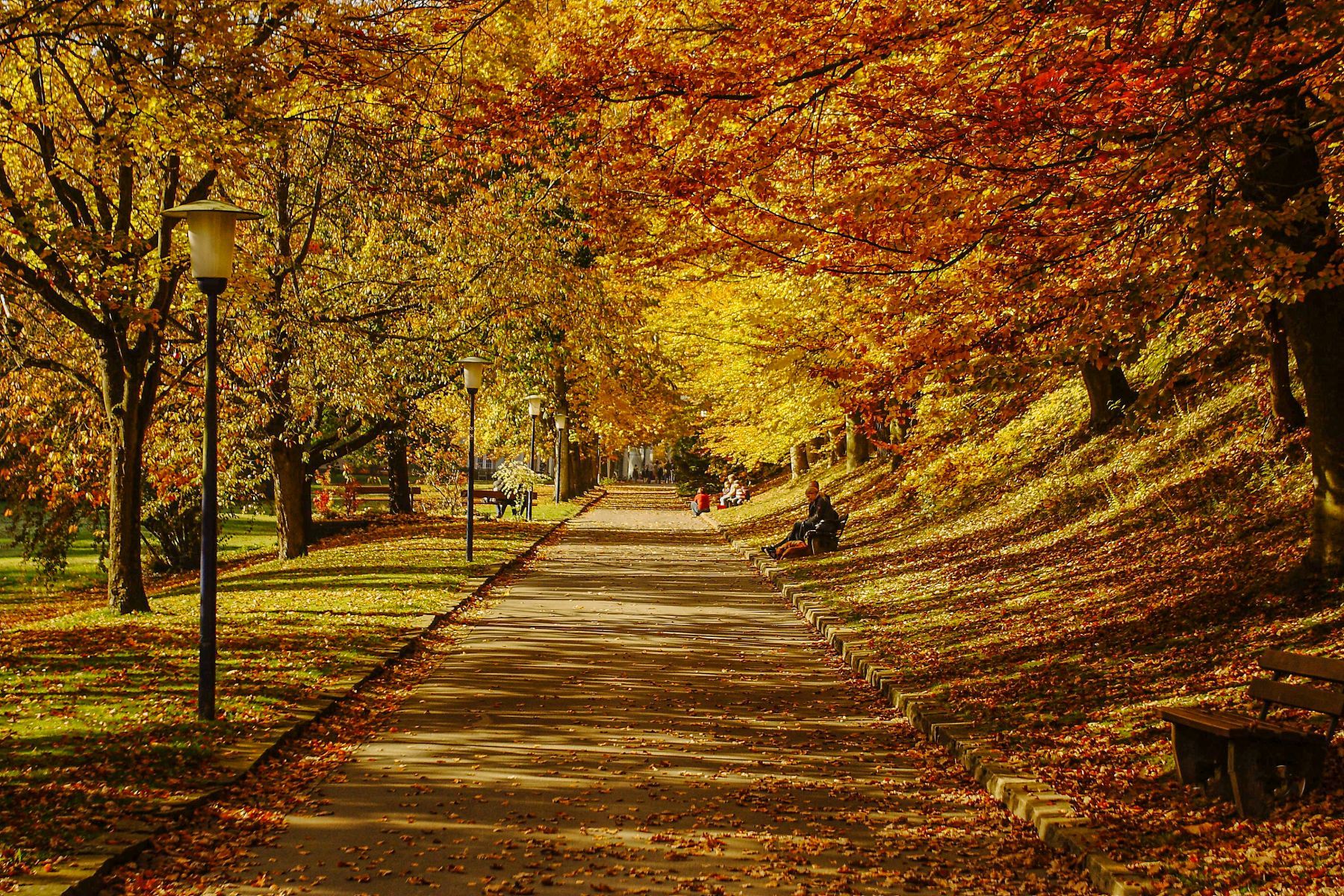 Blick entlang eines Weges im Kurpark mitten im Herbst.