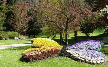 Schmetterling aus Blumen im Kurpark von Bad Wildungen