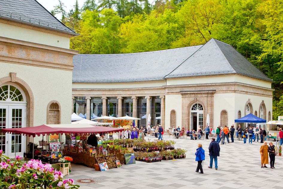 Markt vor der Wandelhalle Bad Wildungen. Es ist ein Blumenstand zu sehen.