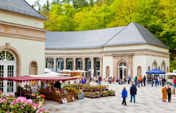 Markt vor der Wandelhalle Bad Wildungen. Es ist ein Blumenstand zu sehen.