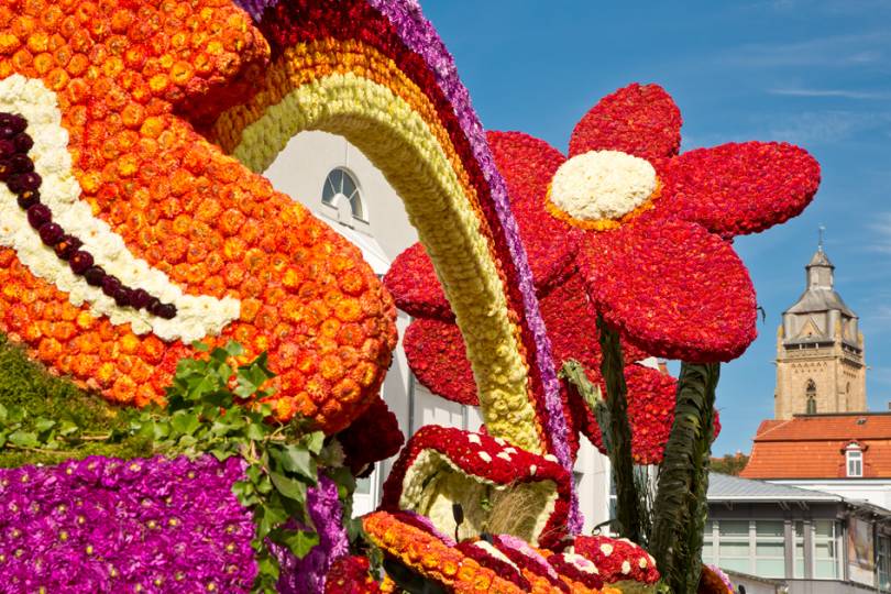 Ausschnitt eines geschmückten Wagens auf Stadtfest mit Blumenfestival Bad Wildungen. Zu sehen sind rote große Blumen sowie ein Regenbogen und Pilze.