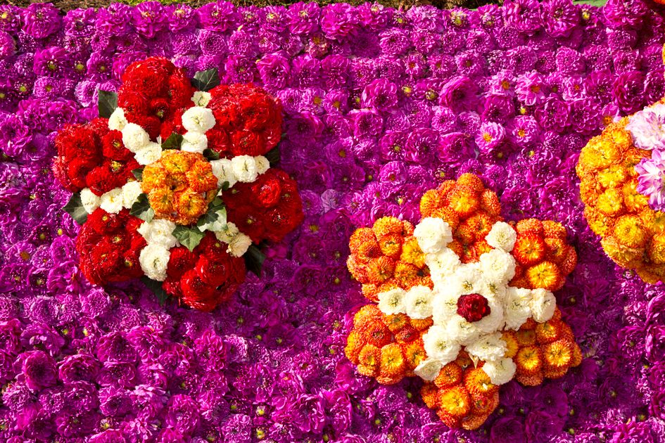 Ausschnitt eines geschmückten Wagens auf Stadtfest mit Blumenfestival Bad Wildungen. Zu sehen sind pinke gesteckte Blumen sowie rote, orangene und weiße, die zu Blumen gesteckt sind.