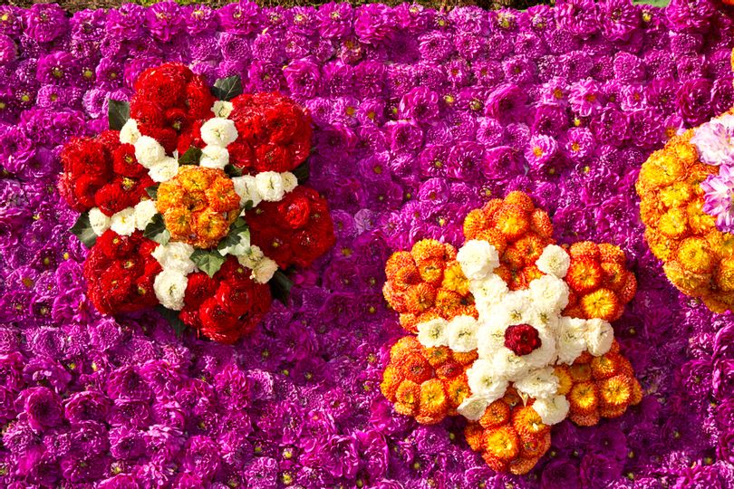 Ausschnitt eines geschmückten Wagens auf Stadtfest mit Blumenfestival Bad Wildungen. Zu sehen sind pinke gesteckte Blumen sowie rote, orangene und weiße, die zu Blumen gesteckt sind.
