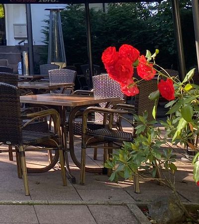 Eine Terrasse mit braunen Tischen und Stühlen und im Vordergrund schöne rote Blumen