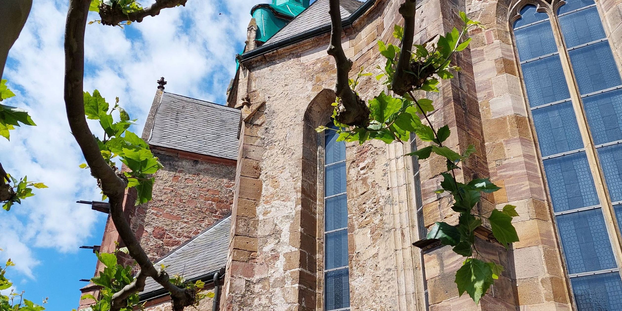 Eine Nahaufnahme vom hinteren Teil, der Stadtkirche in Bad Wildungen. Im Vordergrund ist ein Baum zu sehen, mit grünen Blättern. Im Hintergrund erkennt man die Spitze der Kirche.