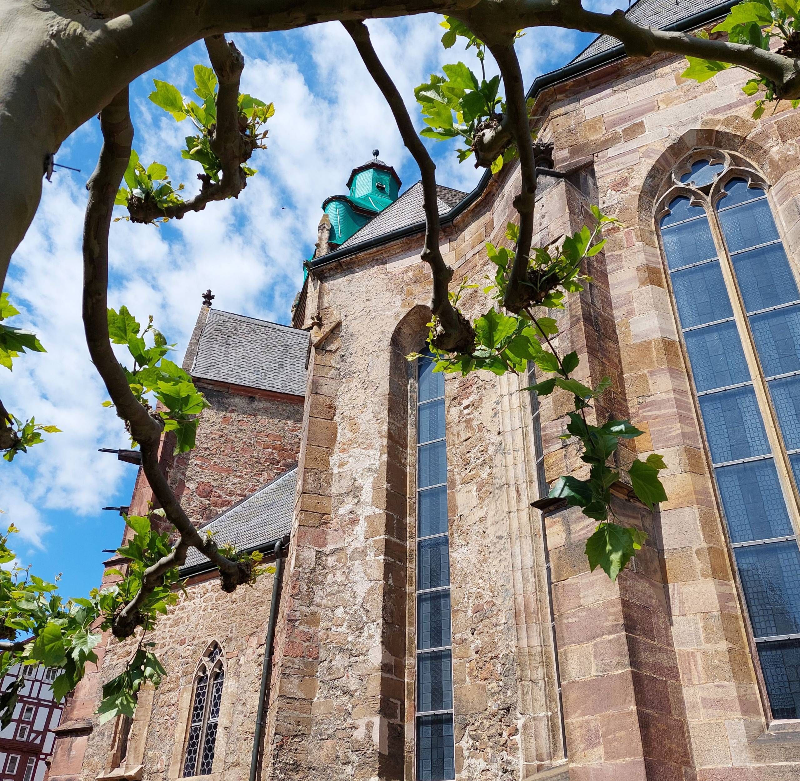 Eine Nahaufnahme vom hinteren Teil, der Stadtkirche in Bad Wildungen. Im Vordergrund ist ein Baum zu sehen, mit grünen Blättern. Im Hintergrund erkennt man die Spitze der Kirche.