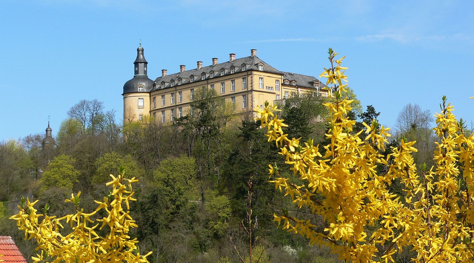 Blick auf das Schloss Friedrichstein im Frühling vom Kurpark aus
